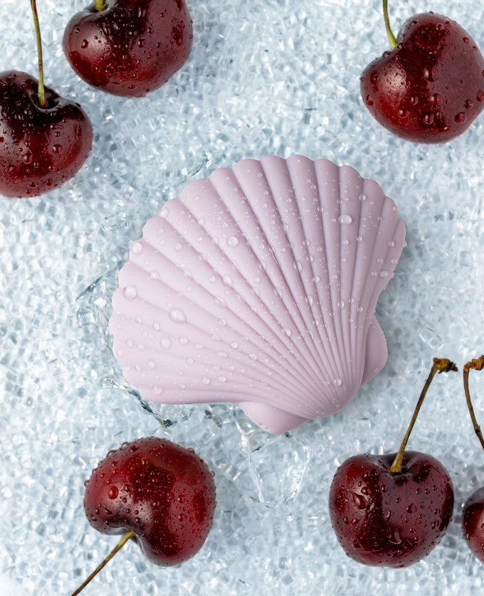 Sandy the shell