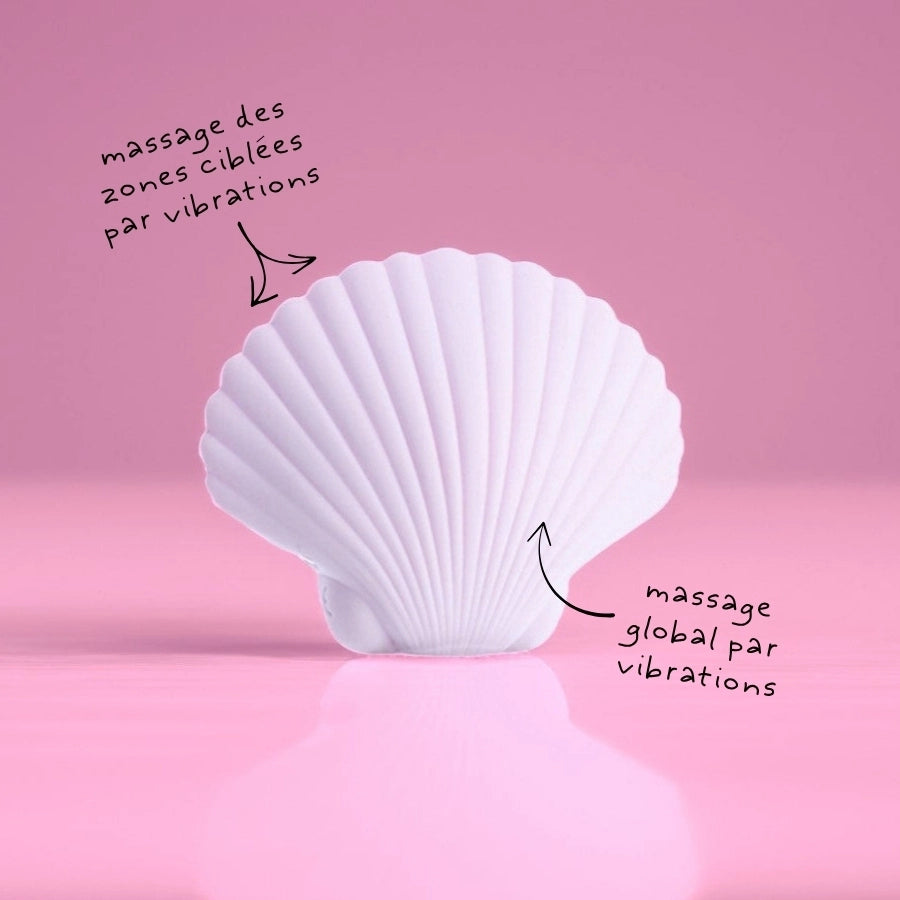 Sandy the shell
