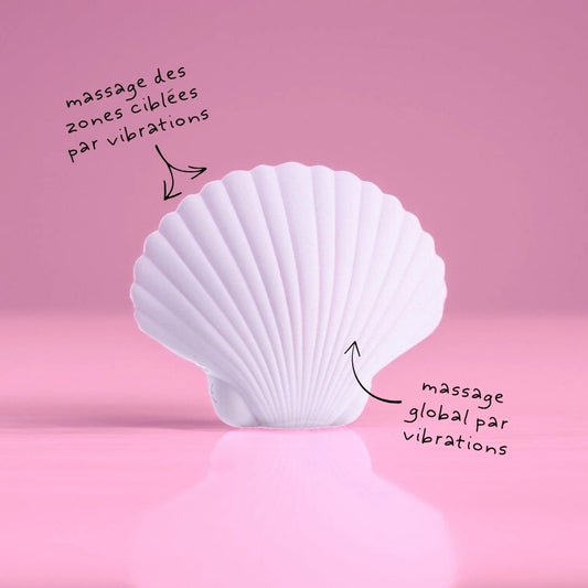 Sandy the shell