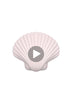 Sandy The Shell