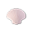 Sandy The Shell